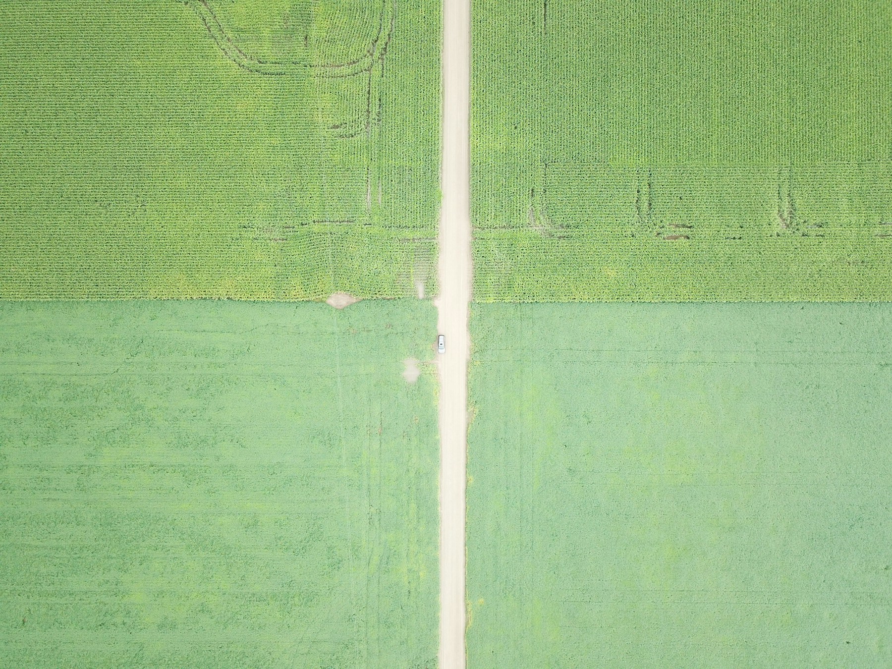 Lugfoto van groen landerye
